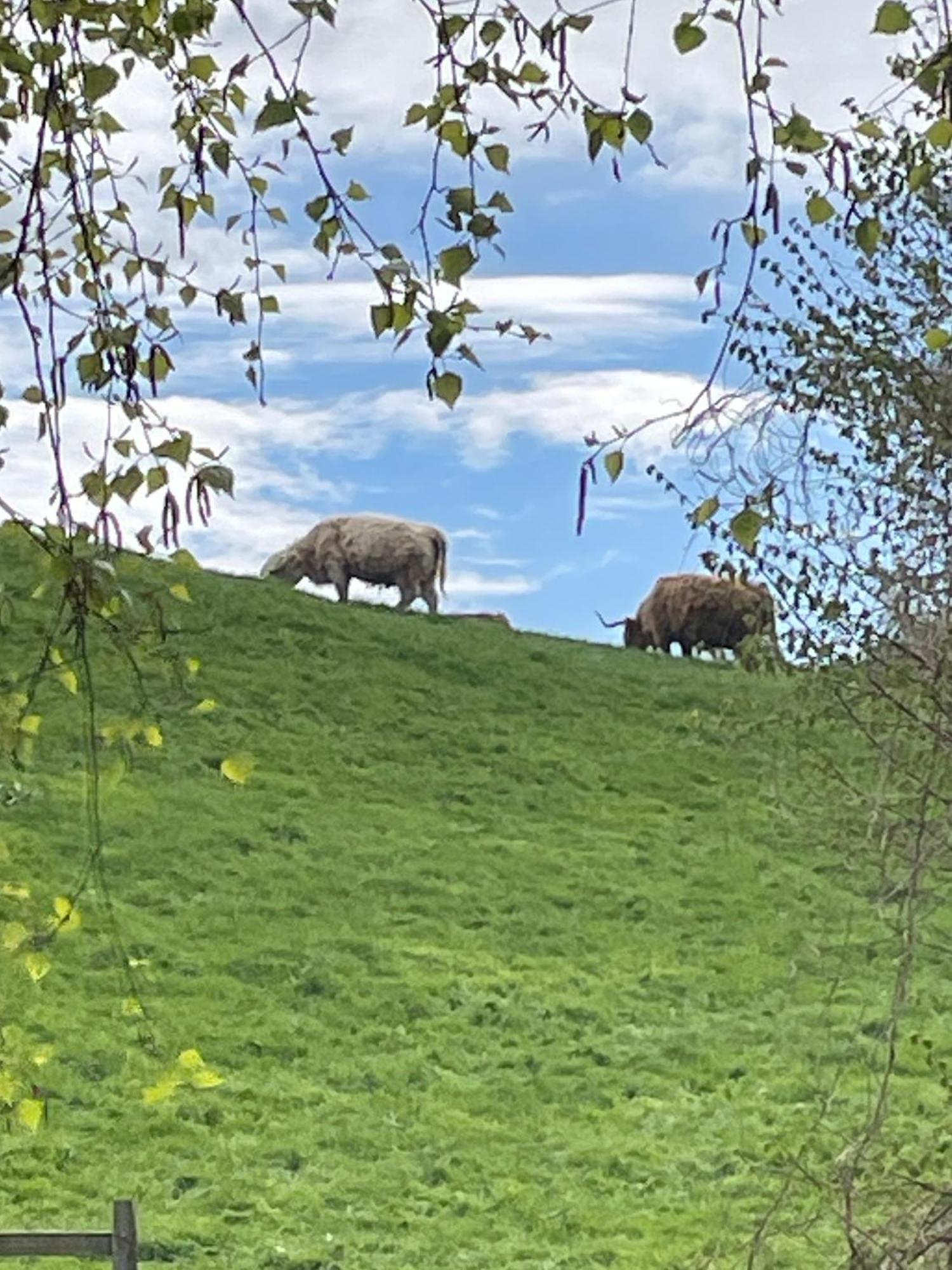 Appartamento Ferien Und Freizeithof Engelau - Zi 6 Giekau Esterno foto